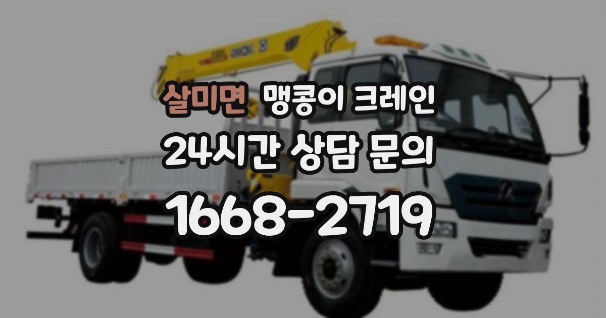 살미면 맹콩이 크레인