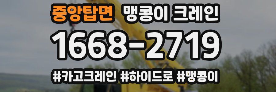 중앙탑면 맹콩이 크레인