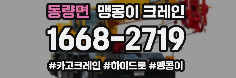 동량면 맹콩이 크레인