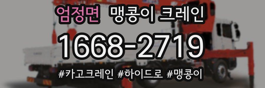 엄정면 맹콩이 크레인