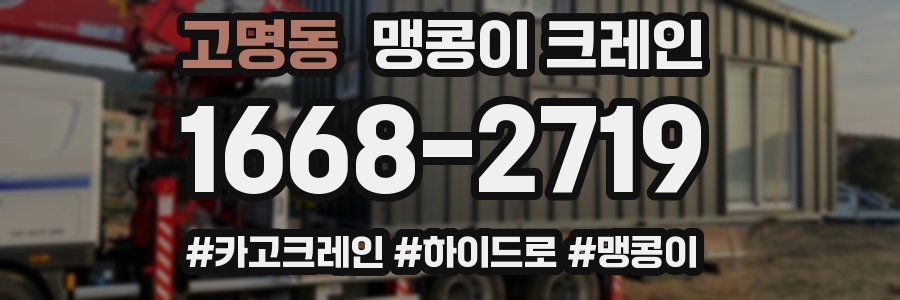 고명동 맹콩이 크레인