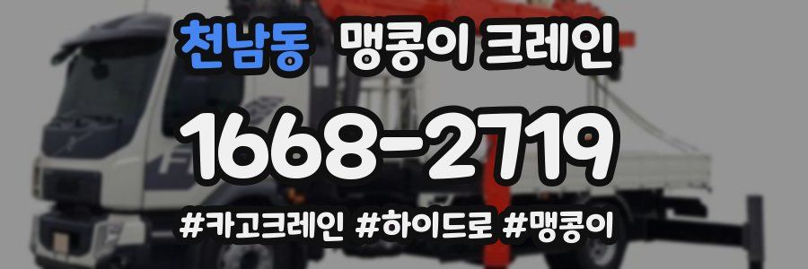 천남동 맹콩이 크레인