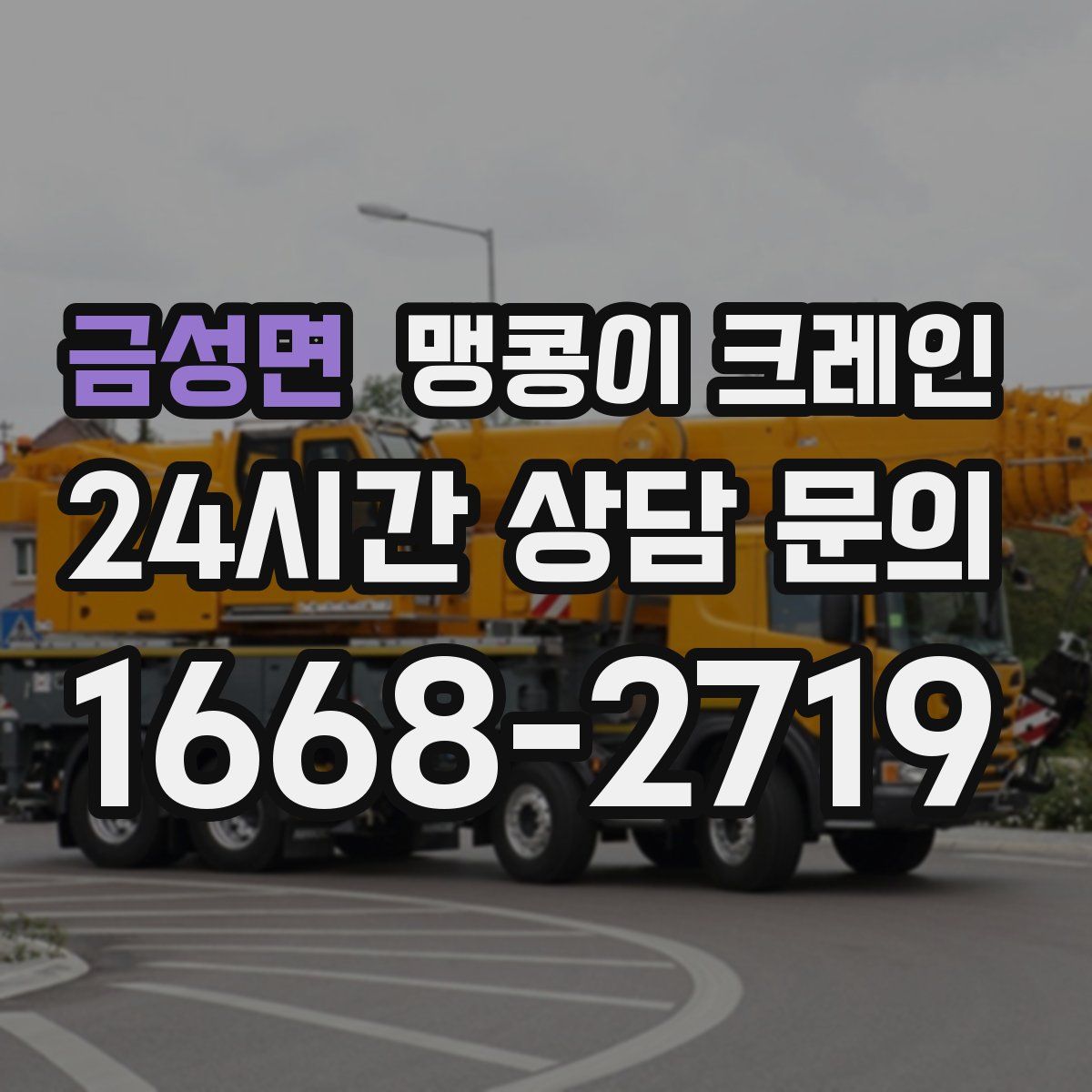 금성면 맹콩이 크레인