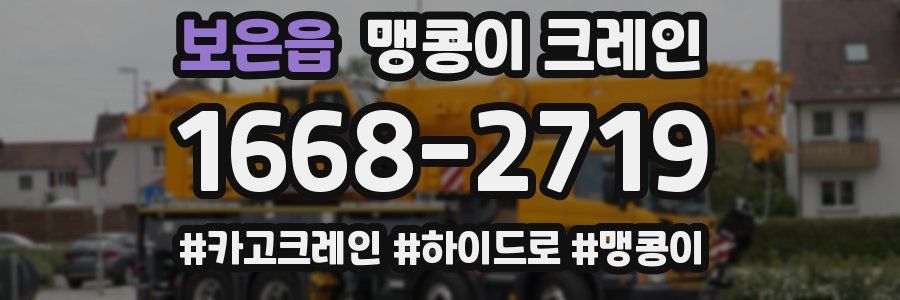 보은읍 맹콩이 크레인