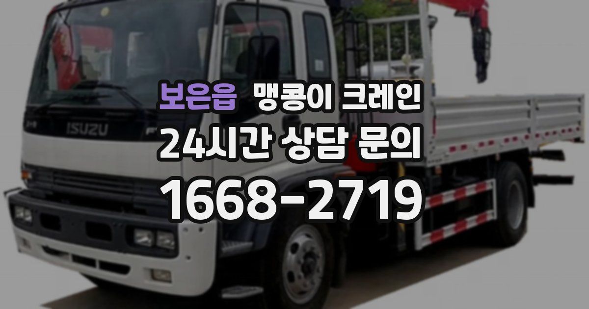 보은읍 맹콩이 크레인