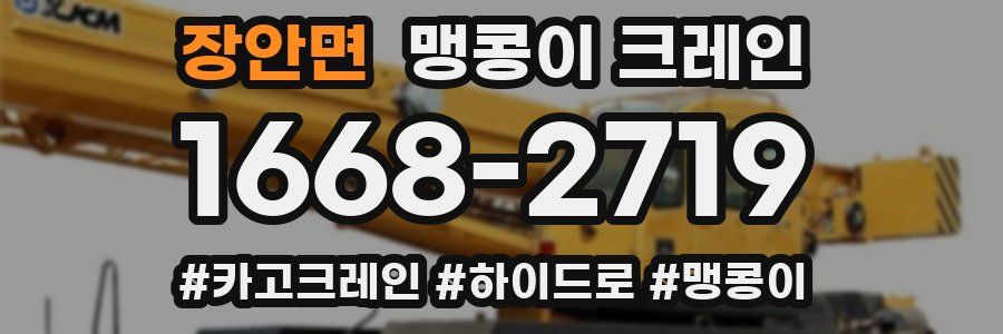 장안면 맹콩이 크레인