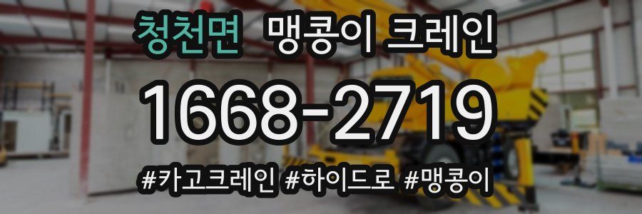 청천면 맹콩이 크레인