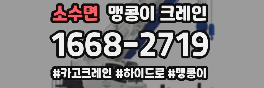 소수면 맹콩이 크레인