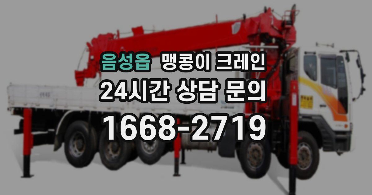 음성읍 맹콩이 크레인