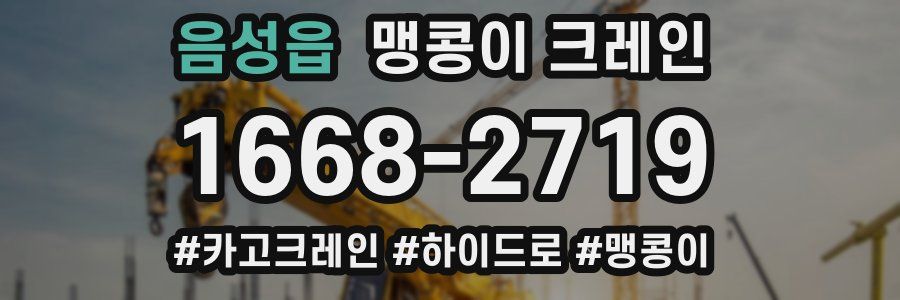 음성읍 맹콩이 크레인