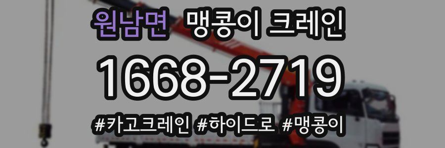 원남면 맹콩이 크레인