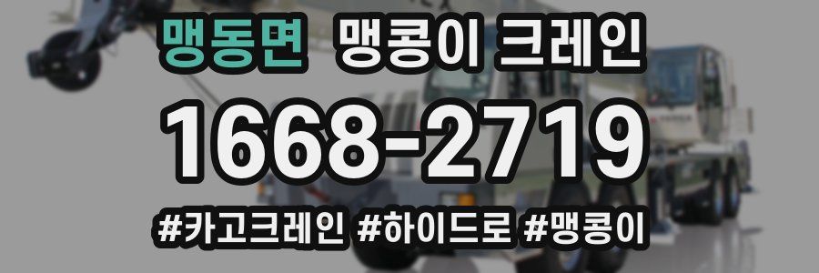 맹동면 맹콩이 크레인