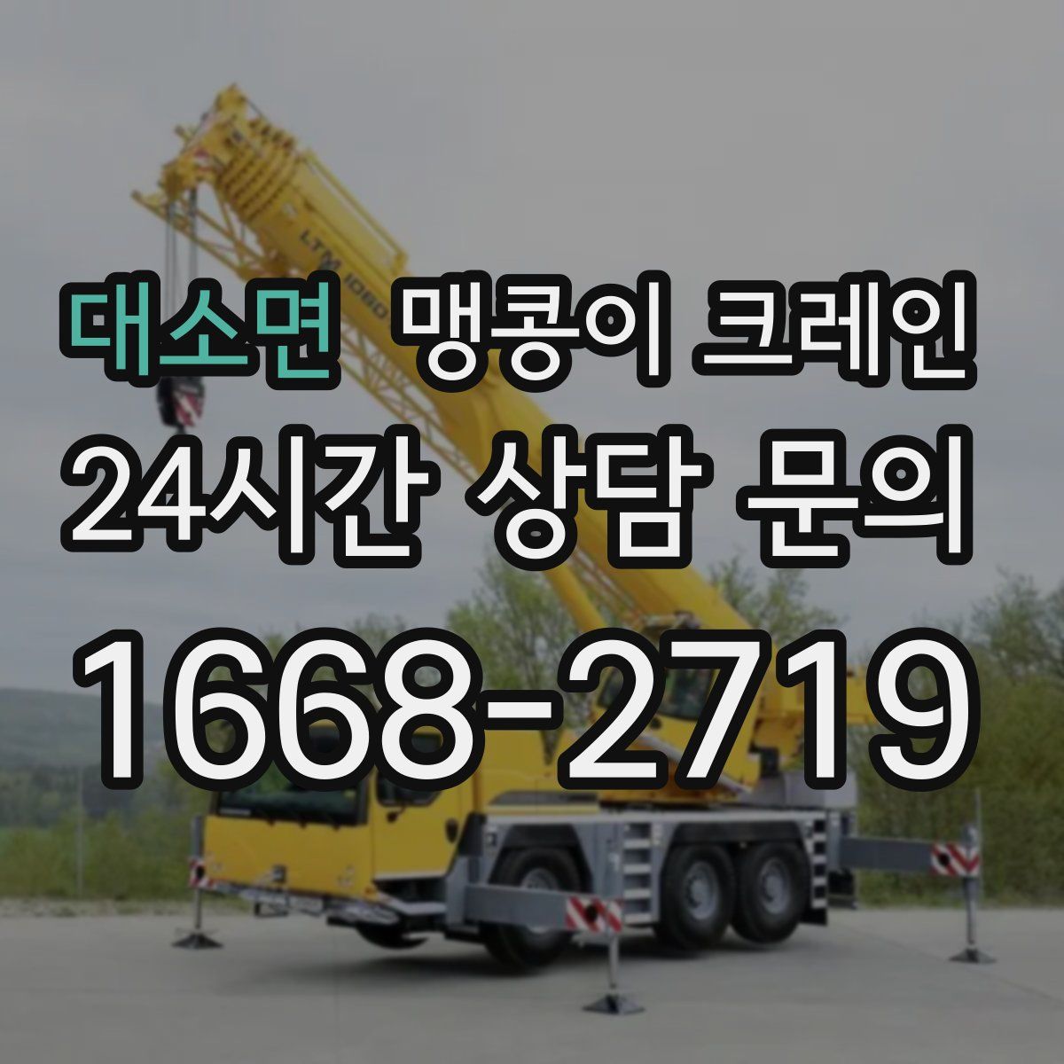 대소면 맹콩이 크레인