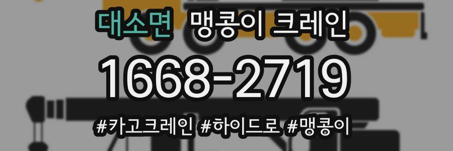 대소면 맹콩이 크레인