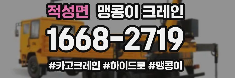 적성면 맹콩이 크레인