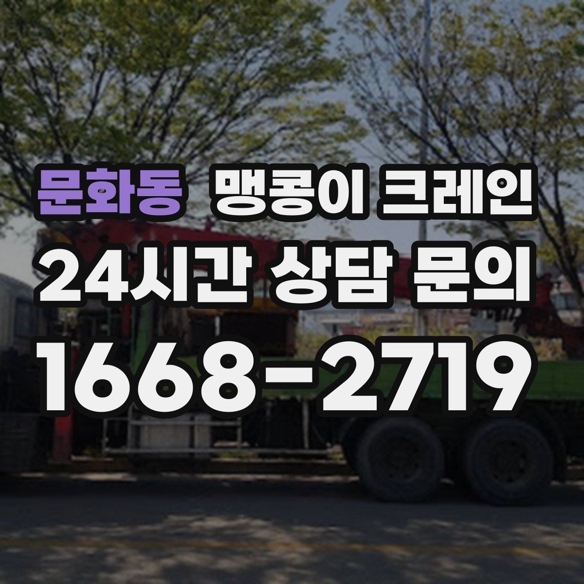 문화동 맹콩이 크레인