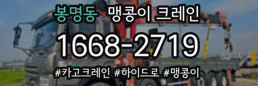 봉명동 맹콩이 크레인