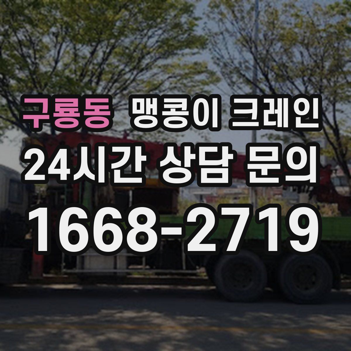 구룡동 맹콩이 크레인