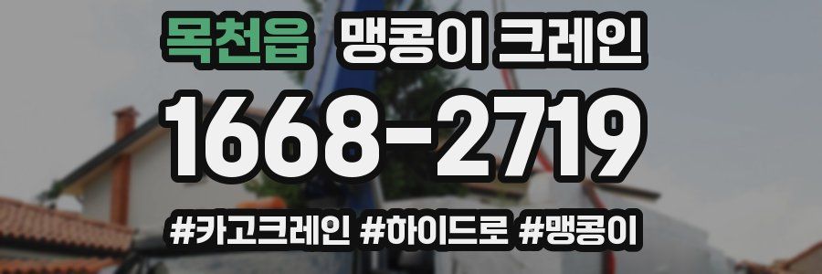 목천읍 맹콩이 크레인