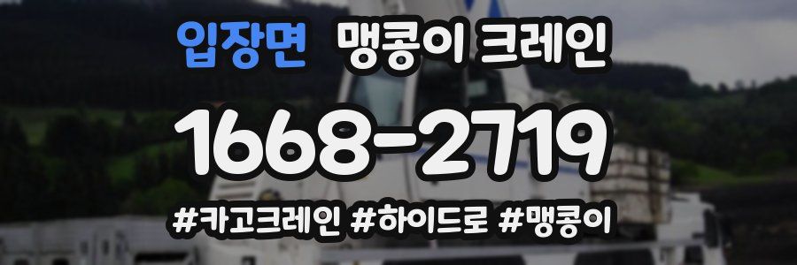 입장면 맹콩이 크레인