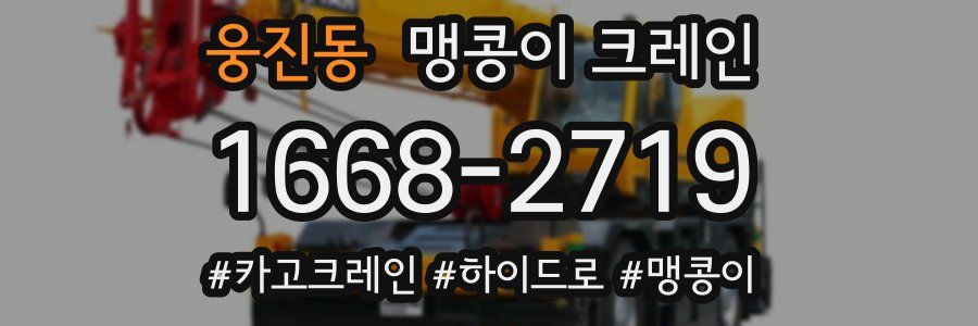 웅진동 맹콩이 크레인