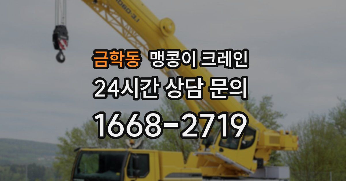 금학동 맹콩이 크레인