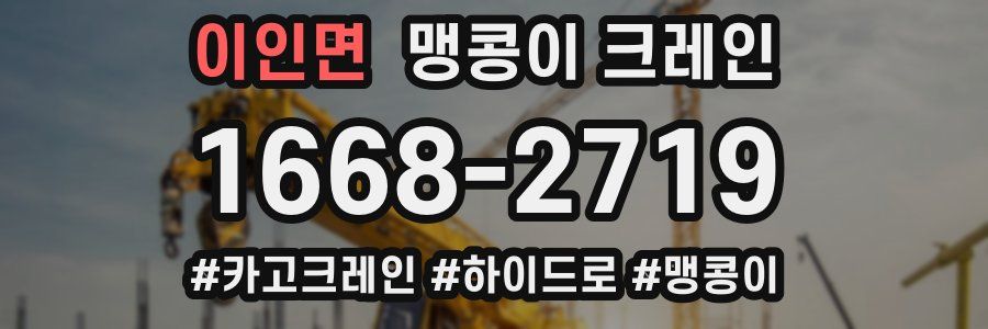 이인면 맹콩이 크레인