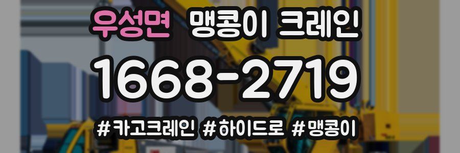 우성면 맹콩이 크레인