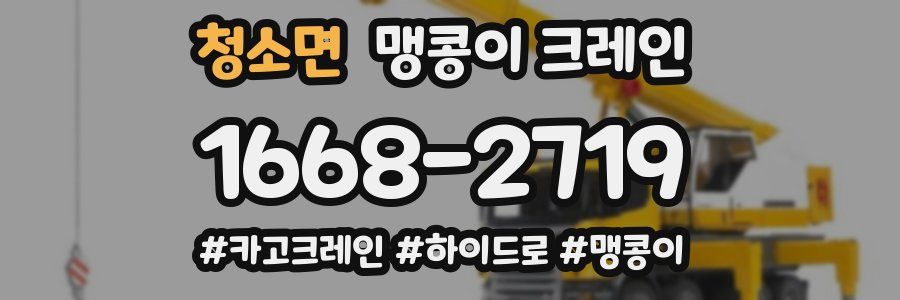 청소면 맹콩이 크레인