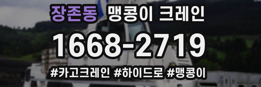 장존동 맹콩이 크레인