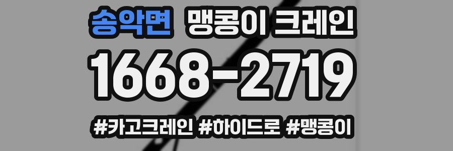 송악면 맹콩이 크레인