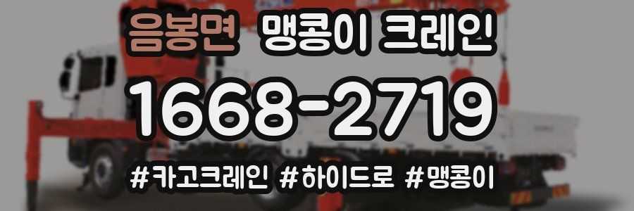 음봉면 맹콩이 크레인