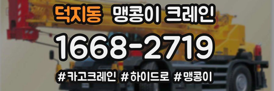 덕지동 맹콩이 크레인