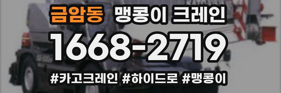 금암동 맹콩이 크레인