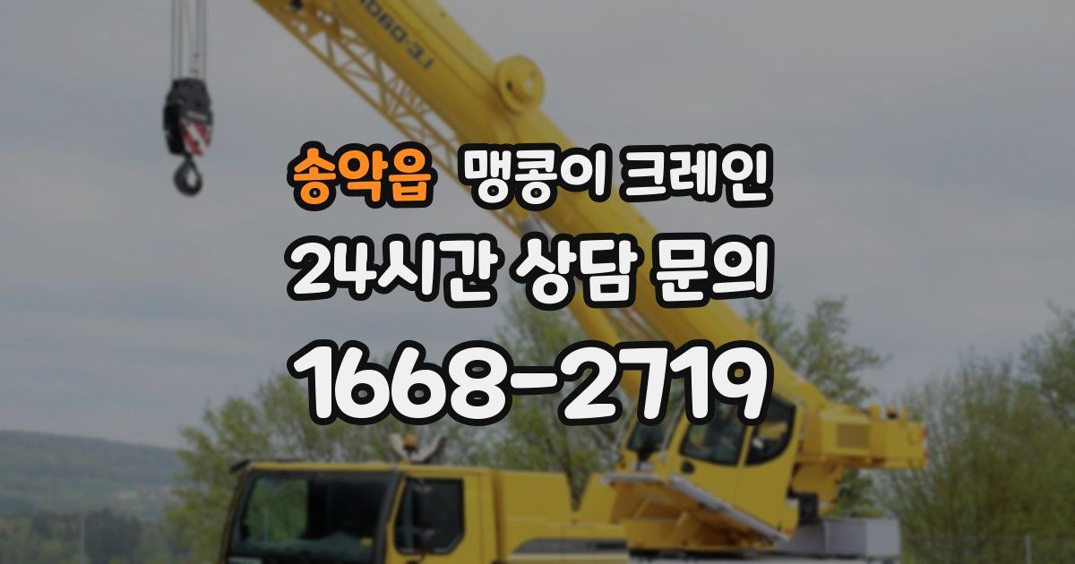 송악읍 맹콩이 크레인