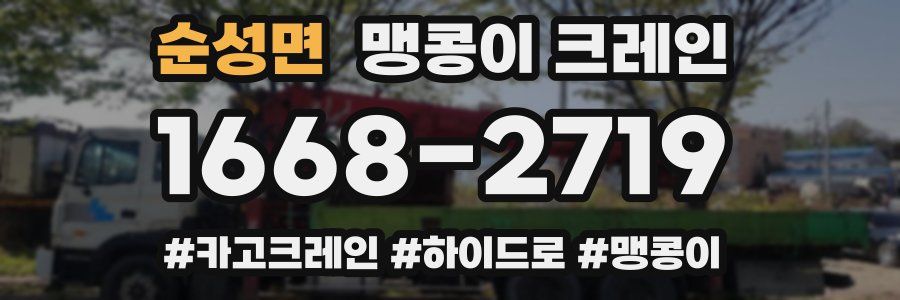 순성면 맹콩이 크레인