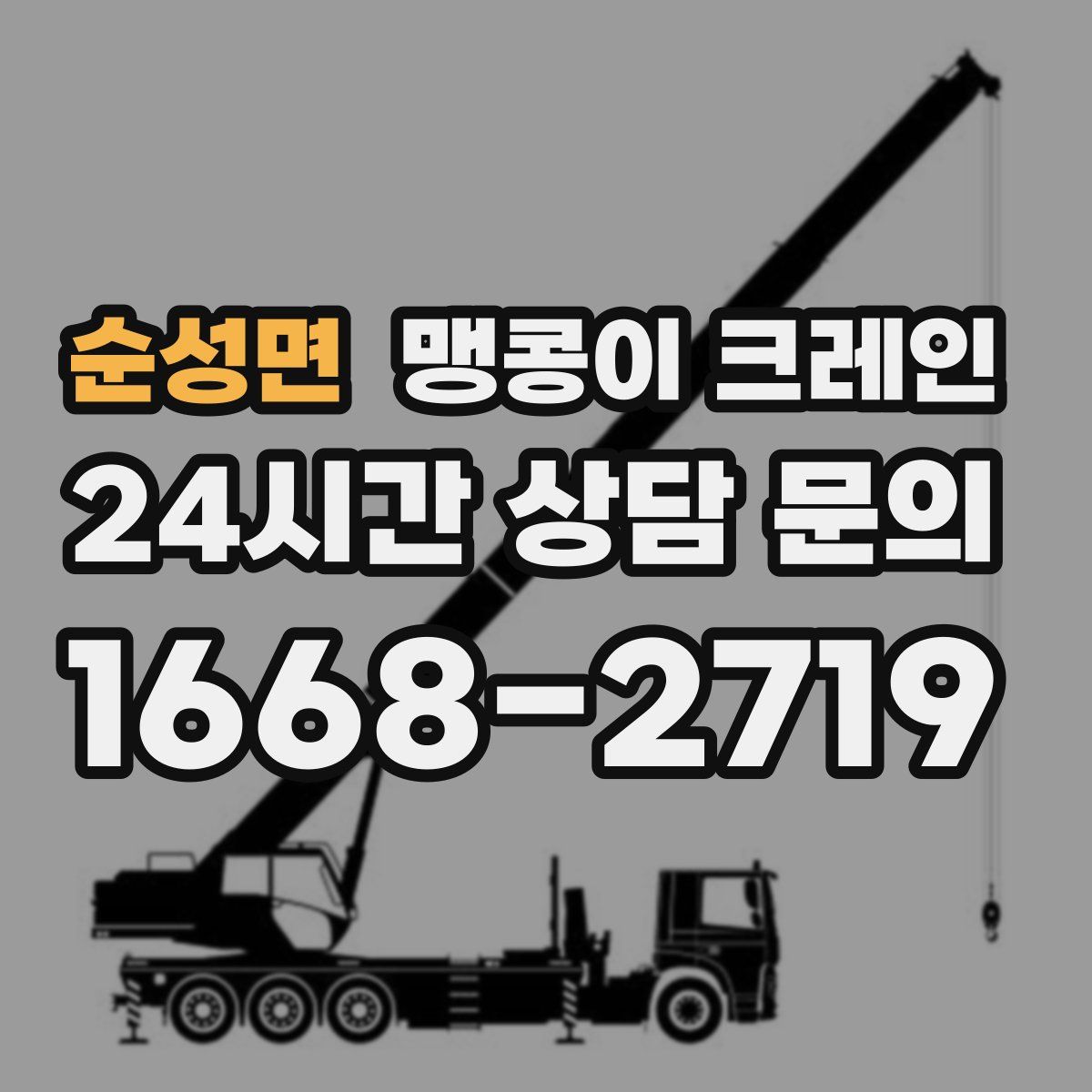 순성면 맹콩이 크레인