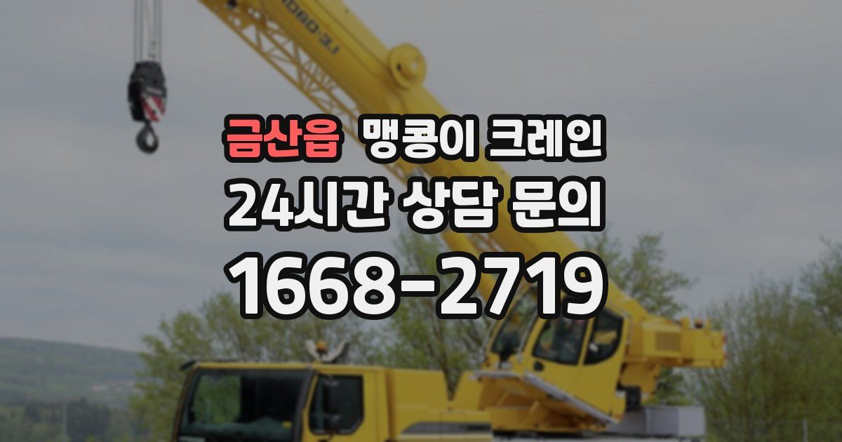 금산읍 맹콩이 크레인