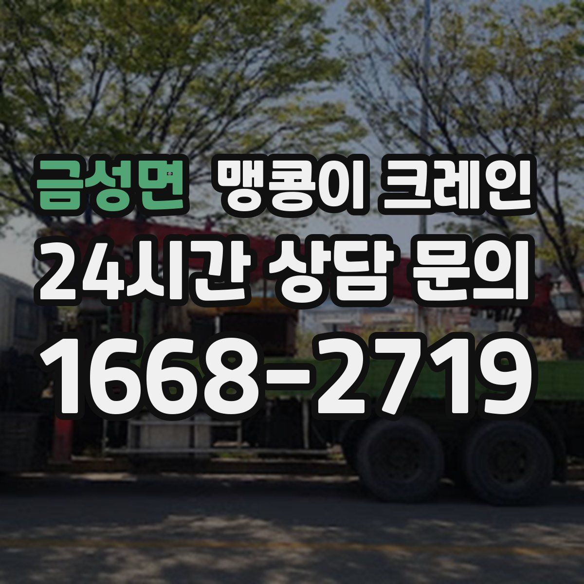 금성면 맹콩이 크레인