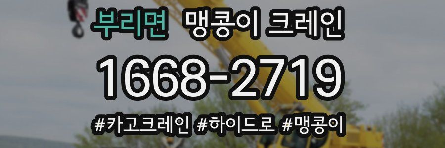 부리면 맹콩이 크레인