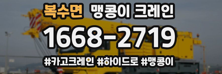 복수면 맹콩이 크레인