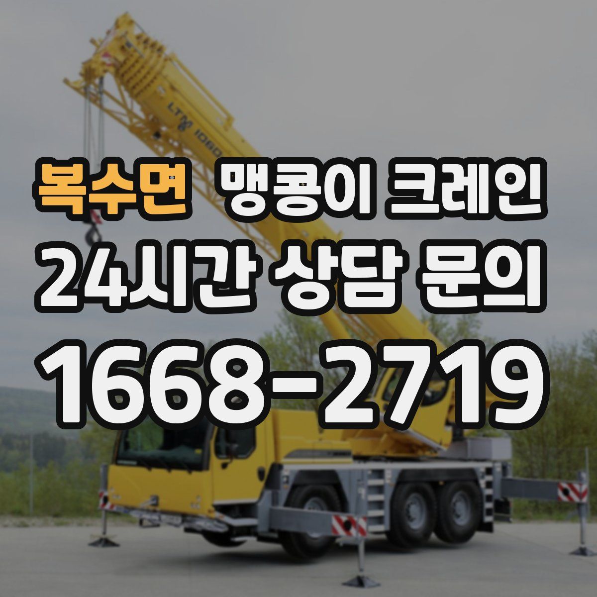 복수면 맹콩이 크레인