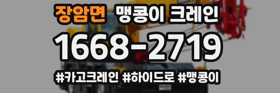 장암면 맹콩이 크레인