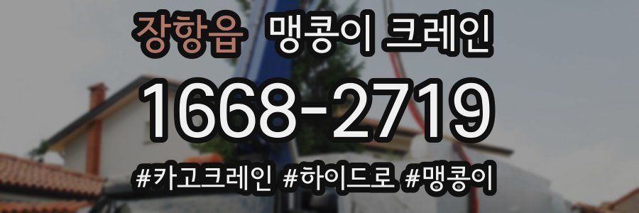 장항읍 맹콩이 크레인