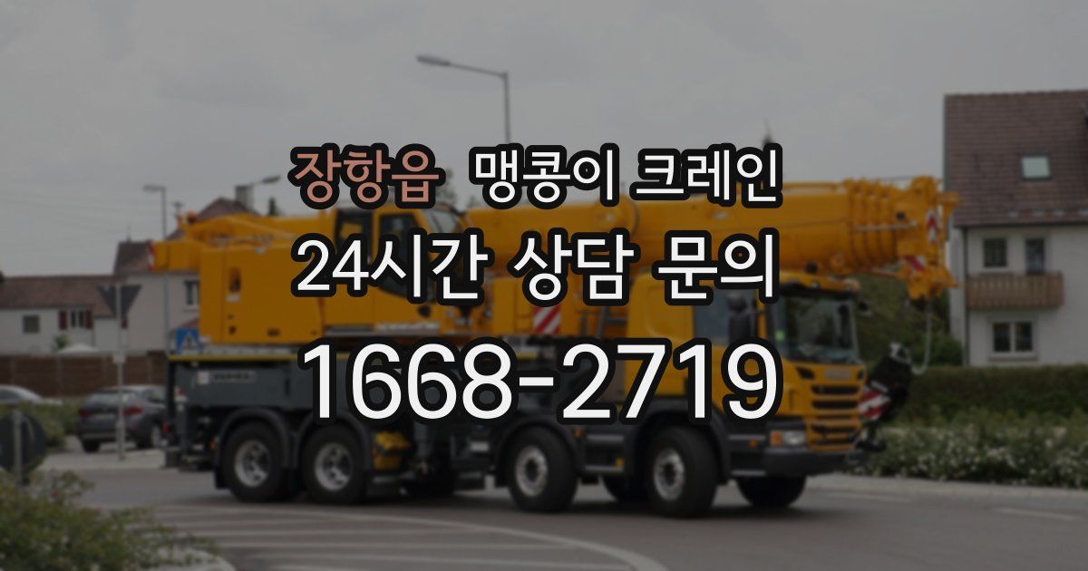 장항읍 맹콩이 크레인