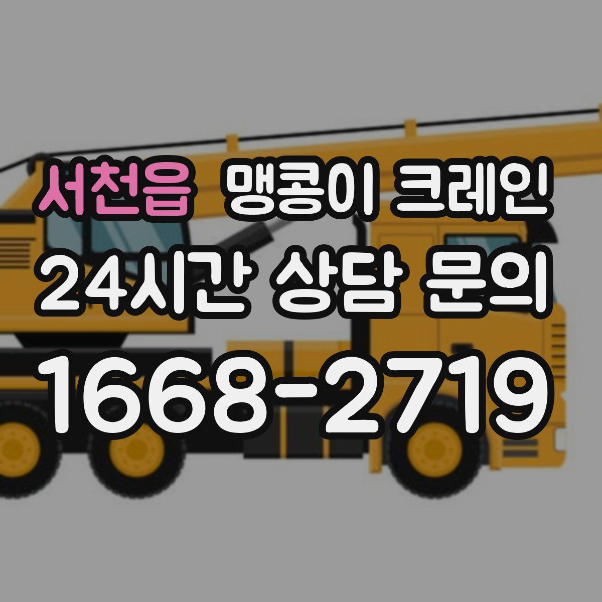 서천읍 맹콩이 크레인