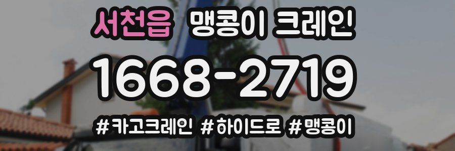 서천읍 맹콩이 크레인