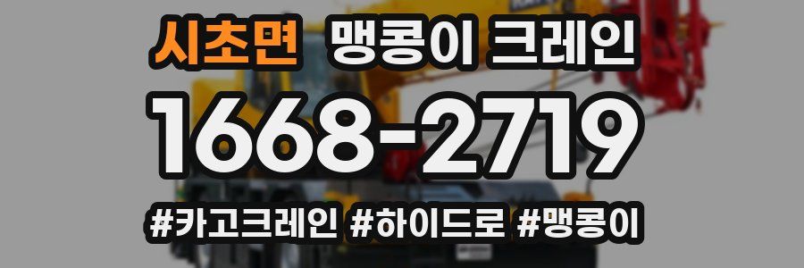 시초면 맹콩이 크레인