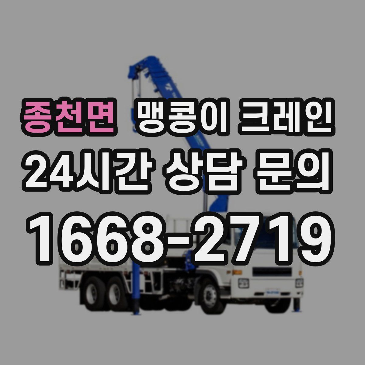 종천면 맹콩이 크레인