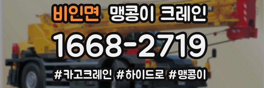 비인면 맹콩이 크레인